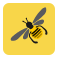 Bee icon